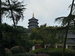 -浙江西子宾馆·瑶园咖啡厅