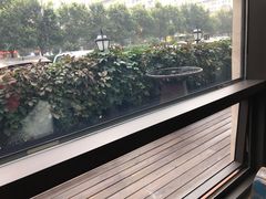 -Africafe(非洲咖啡)