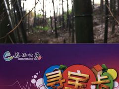景点-蔡伦竹海