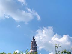-顺峰山公园