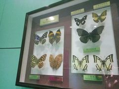 -上海昆虫博物馆