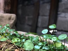 -驿舍·民國老营房院子私房菜(科学会堂店)