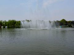 -南汇桃花村