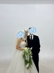 -北遇映画PHOTO GRAPHY STUDIO