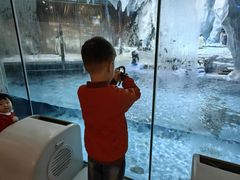 -帝企鹅自助餐厅•儿童岛•真企鹅(长隆企鹅酒店)