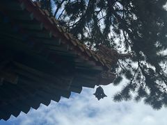 -普乐寺