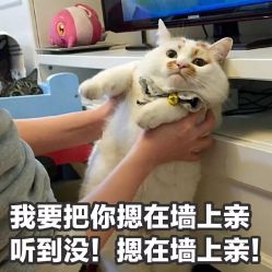 -花师傅专业手穿耳洞打耳洞穿孔