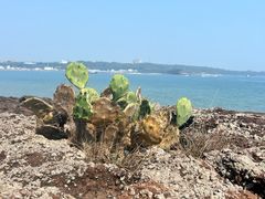 -涠洲岛火山国家地质公园