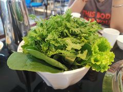 -葛记红焖羊肉(和平路形象店)