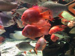 -太平洋海底世界