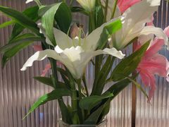 -鑫小城故事·藕汤·家常菜(台北一路总店)