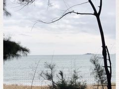 -马銮湾景区