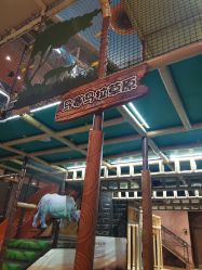 -卡通尼·Safari非洲探索乐园·生日会(金桥国际商业广场店)