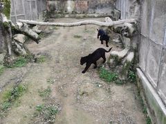 -宁波野生动物园