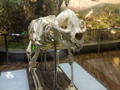 -陕西自然博物馆