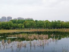 -滨湖塘西河公园