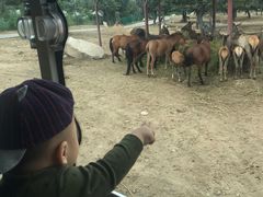 -西安秦岭野生动物园