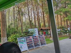 -合肥滨湖国家森林公园