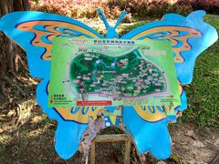 -松山湖梦幻百花洲