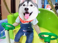 -苏州香山国际大酒店