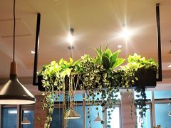 -比格比萨自助(宋家庄店)