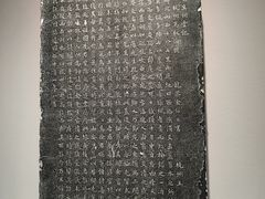 -中国湿地博物馆