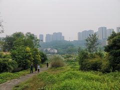 -张坝桂圆林公园