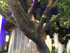 -绿茶餐厅(乐峰广场店)