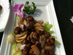 -云中小雅