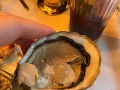 -金蜗牛