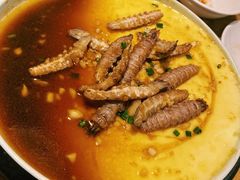 -陈傻子餐厅(世纪都会店)