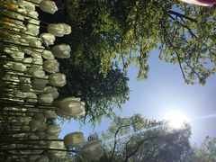 库肯霍夫公园-库肯霍夫公园