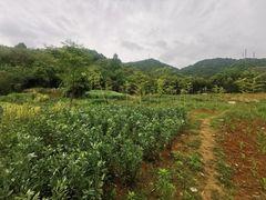 -万泊酒店(长沙五一广场国金中心店)