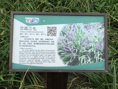 -溱湖国家湿地公园