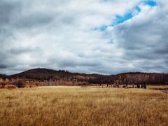 -塞罕坝国家级自然保护区