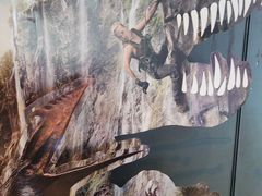 -寰映影城(朝阳合生汇杜比影院店)