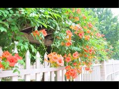 -JACK’S  PLACE 杰克地方(上海路店)