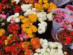 -循礼门鲜花花市(武汉循礼门店)