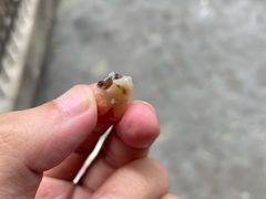 -台州恩泽医疗中心（集团)恩泽医院