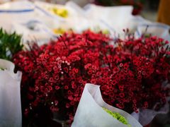 -循礼门鲜花花市(武汉循礼门店)