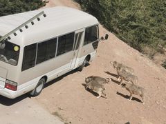 -鄂尔多斯野生动物园