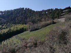 -敬亭山风景名胜区