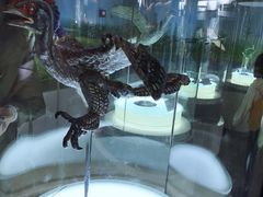 -辽宁古生物博物馆