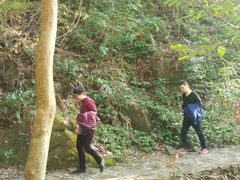 -花岩国家森林公园