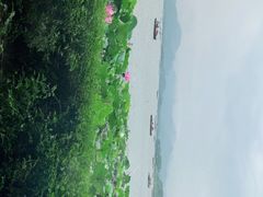 -湖畔居茶楼(湖滨店)