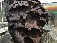 -美国自然历史博物馆