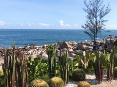 -广东惠东海龟国家级自然保护区