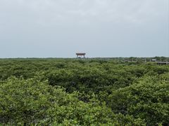 -北海金海湾红树林生态旅游区