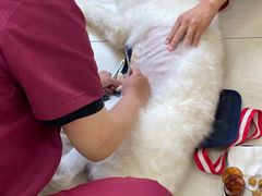 -美联众合动物医院·24h京西诊疗中心