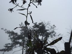 -大明山自然探索公园